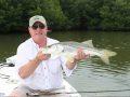 Fly Fishing Charters In Fort Myers For Snook and Tarpon - Nice Snook